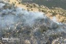 افزایش آتش سوزی جنگلها با شروع فصل گرما در کهگیلویه و بویراحمد