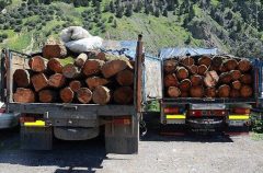 سه تن چوب قاچاق در گچساران کشف شد