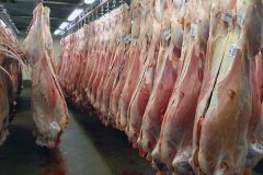 ۱۲۰۰بسته گوشت قرمز بین نیازمندان کهگیلویه و بویراحمدتوزیع می شود